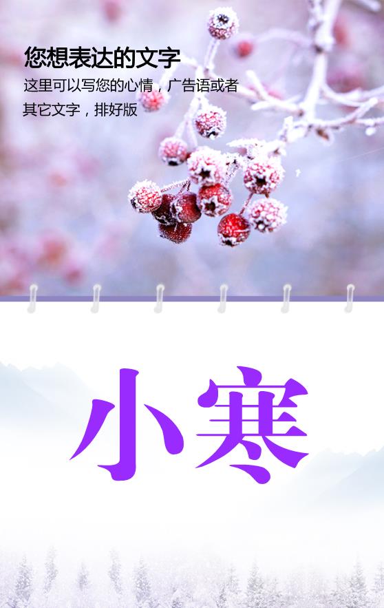 紫色簡約小寒節(jié)氣模板下載