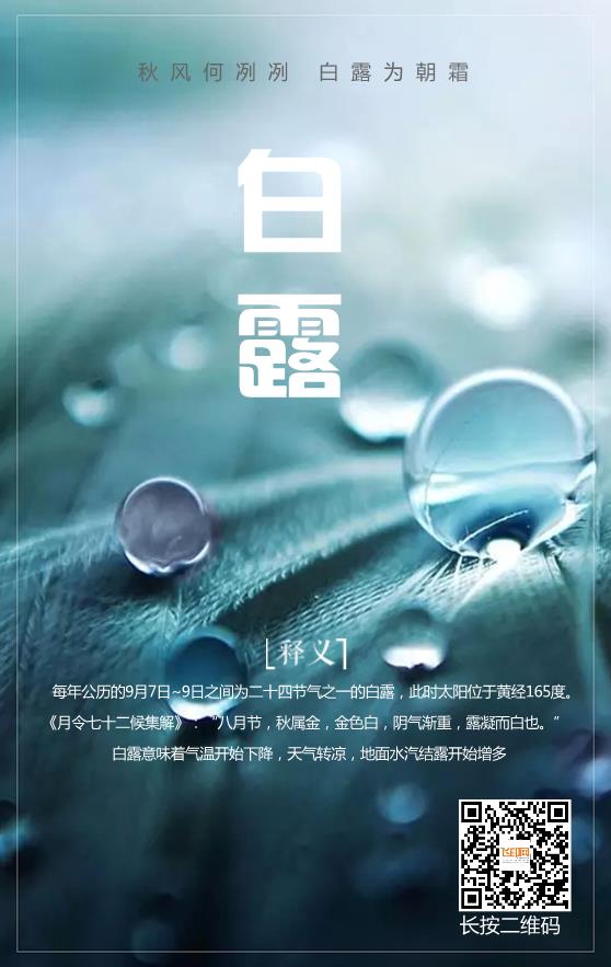 白露節(jié)氣圖模板下載