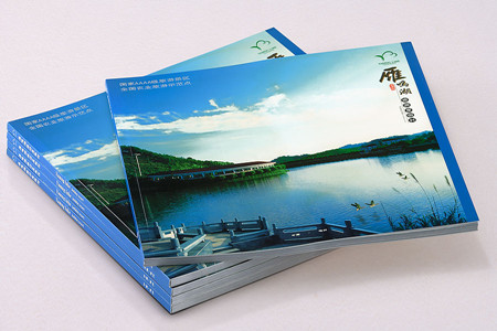 飛印網宣傳冊印刷 飛印網宣傳冊印刷